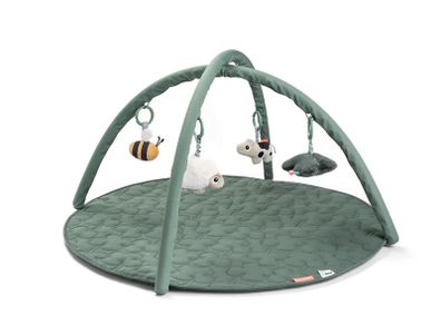 Activity mat