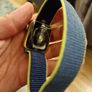 Apple Watch SE 40mm Gold - Model A2351 - Huge Bundle with 11 Straps - Original Box Image 4
