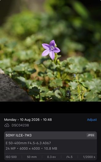 Tamron 50-400mm F/4.5-6.3 Di III VC VXD - Sony FE mount