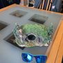 aquarium Image 3
