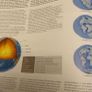 Atlas of The World Image 6