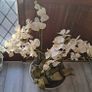 Artificial orchid plant in stone bowl Image 2