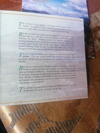 1998 Ireland Coin Set