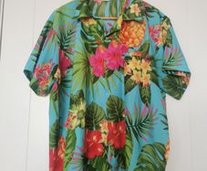 Hawain Men's Shirt