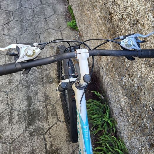 bike, ladies or teen bicycle