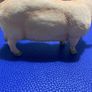 Leonardo Pig Figure Image 3