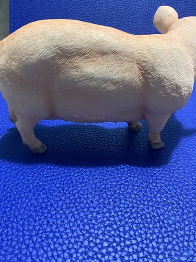 Leonardo Pig Figure