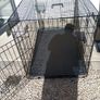 extra large dog travel crate Image 2