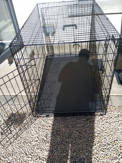 extra large dog travel crate