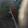 spiral staircase Image 3