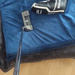 Cobra 3D printed Putter 34 Inch