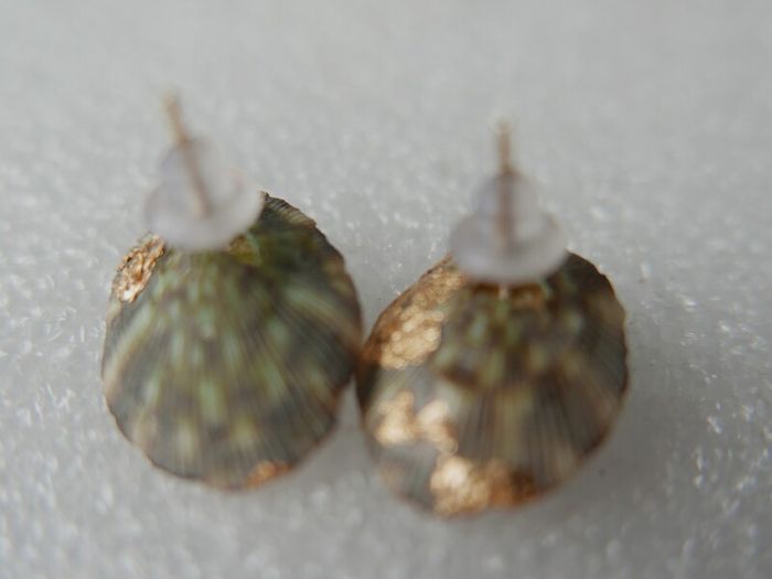 Handmade Seashell Stud Earrings