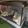 fish tank aquarium Image 7