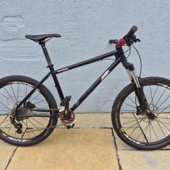 Ragley Blue Pig (M)