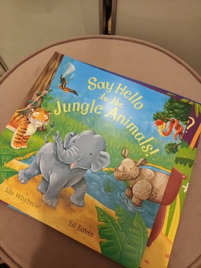 4 beautifully illustrated early childrens books
