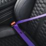 Seatbelts for BMW Image 9