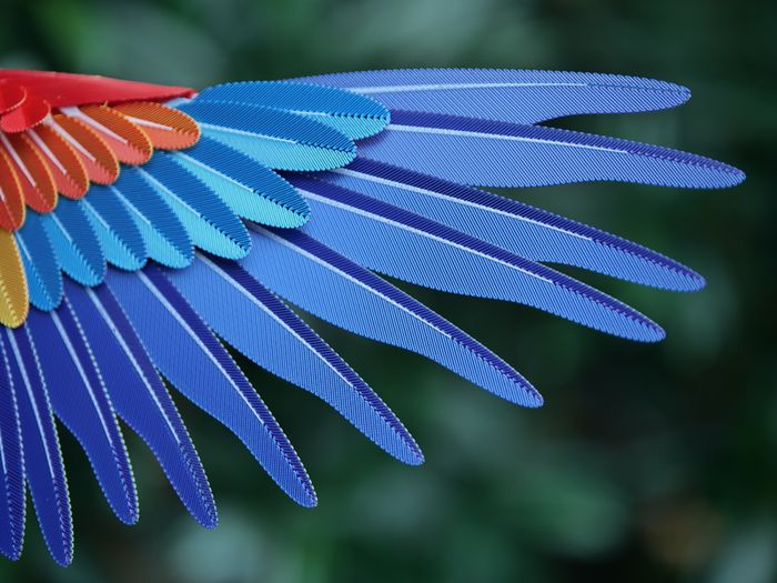 3D Printed Lifesize Macaw