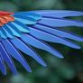 3D Printed Lifesize Macaw Image 6
