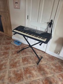 yamaha early 2000s model