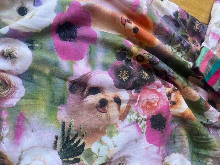 Happy Calegi cute dog set set