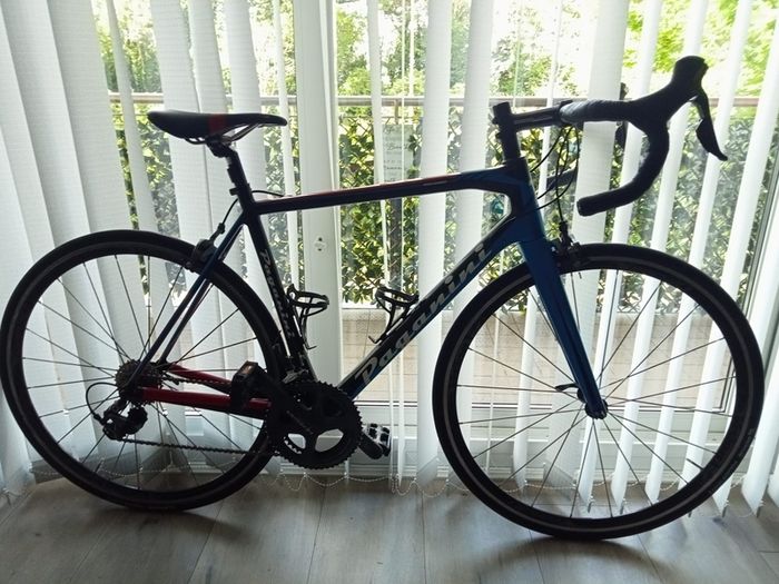20 Speed Paganini Road Bike