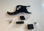 Fender Bass Pickups + Preamp