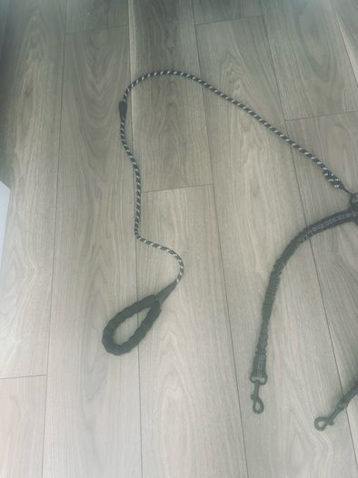 Dog double lead ideal for walking 2dogs excellent condition