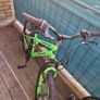 Verve kids bike Image 3