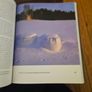 The Road To Prosperity. An Economic History Of Finland. Edited By Jari Ojala, Jari Eloranta, Julka Jalava. First Edition Large Volume Hardback In Good Condition.  See Photos For Same. Image 6