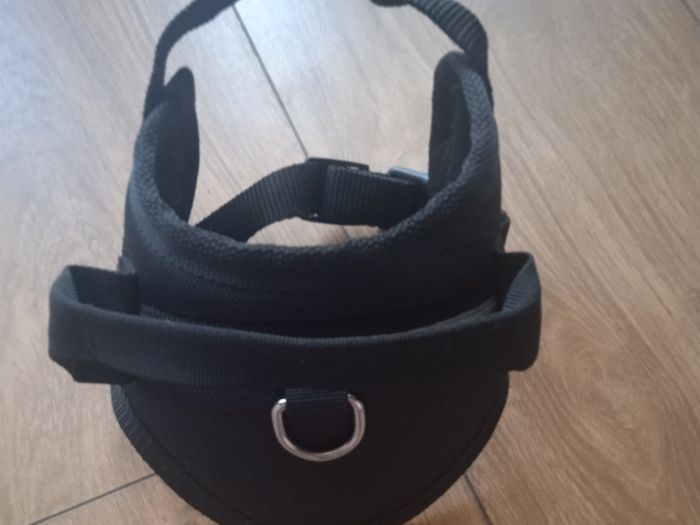Dog harness