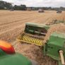 Small Square Bales Barley Straw Image 2