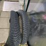 Bike fat tyres Image 2