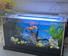Aquarium