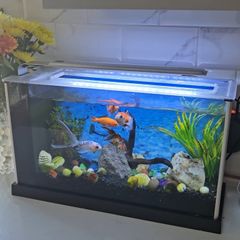 Aquarium