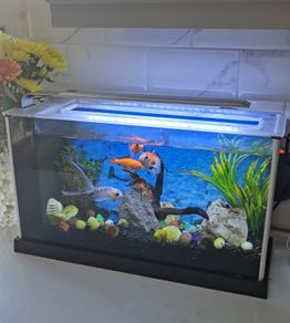 Aquarium