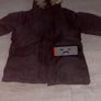 canada goose Image 4