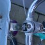 Schwinn kids/ girl bike Image 5