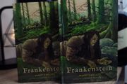 Frankenstein ! Abridged Edition ! by Mary Sheley ! Illustrated by Oscar Dominguez ! Horror ! 2017 ! by Young Readers !