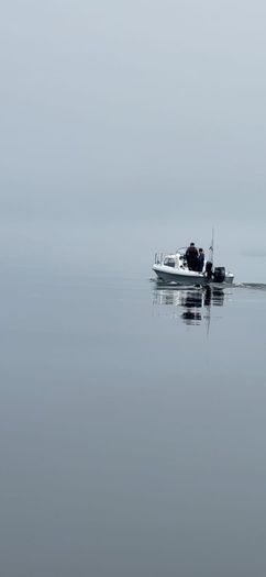Wilson flyer 17ft