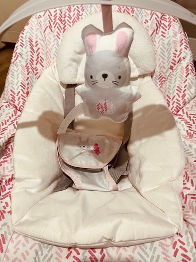 Baby bouncer
