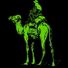 dread_pirate_roberts
