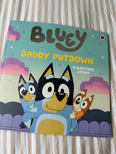 Bluey kids book bundle