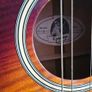 Gibson Epiphone PR 6E Image 5