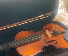 4x4 stagg Violin