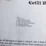 The Gallowglass Ceili Band. Image 5