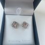 Silver and Crystal Earrings Image 2