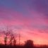 richiewhe