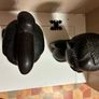 Pair of carved wooden busts Image 3