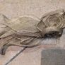 Wedding guest hair piece & bag Image 2