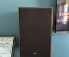 Passive Speakers